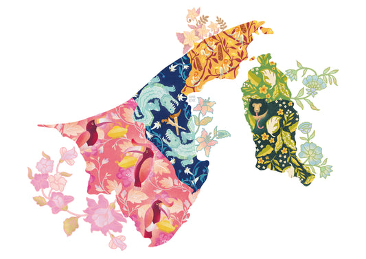 The 4 Districts